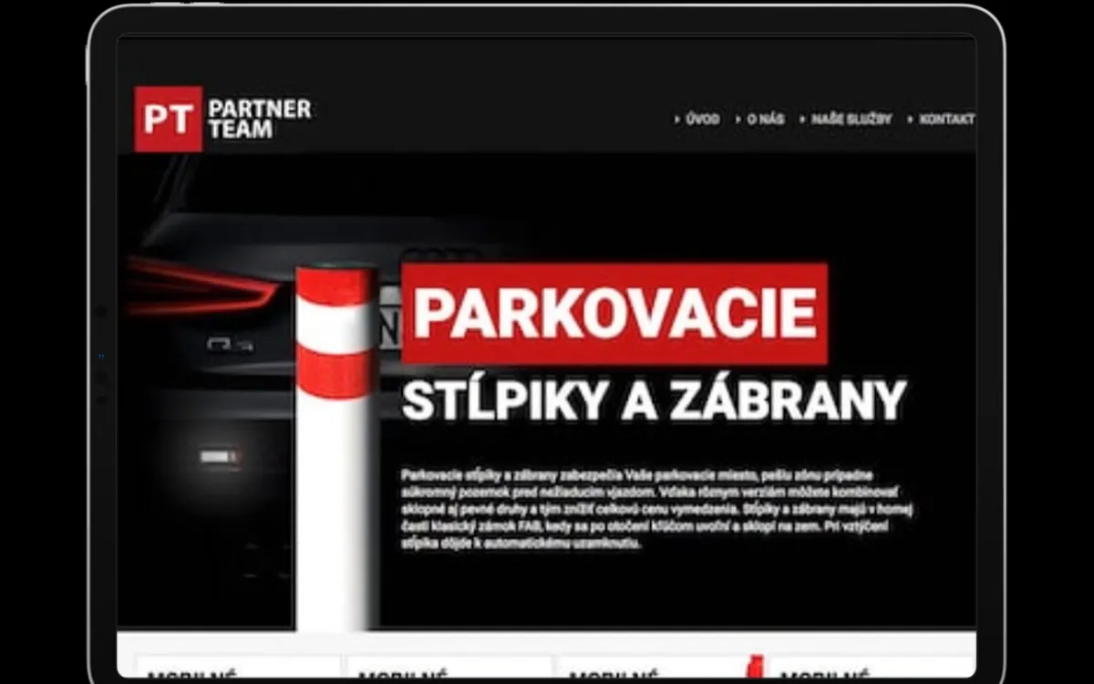 Partner team